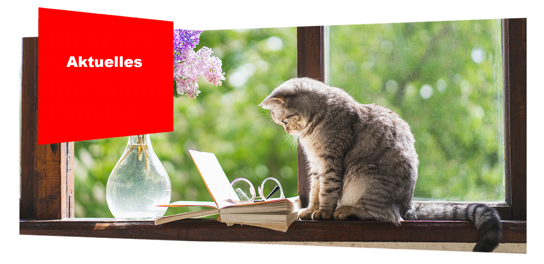 bilder vistawebseite header bild vista aktuell
