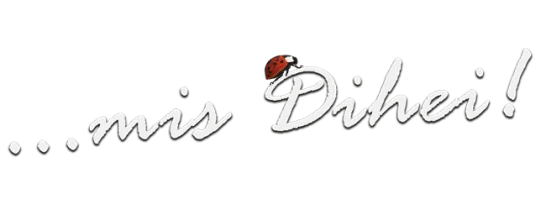 mis_dihei_vistasysteme
